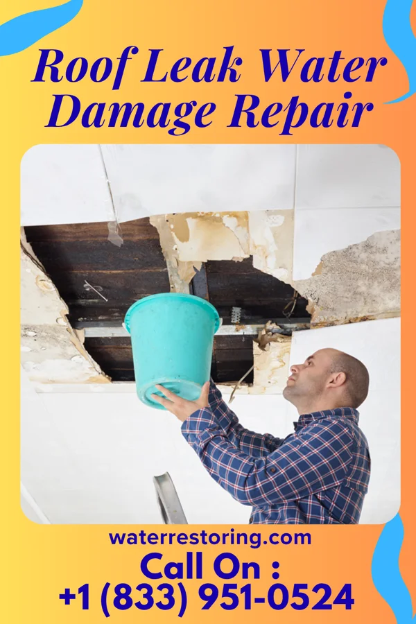 Roof Leak Water Damage Repair in Summerset, SD